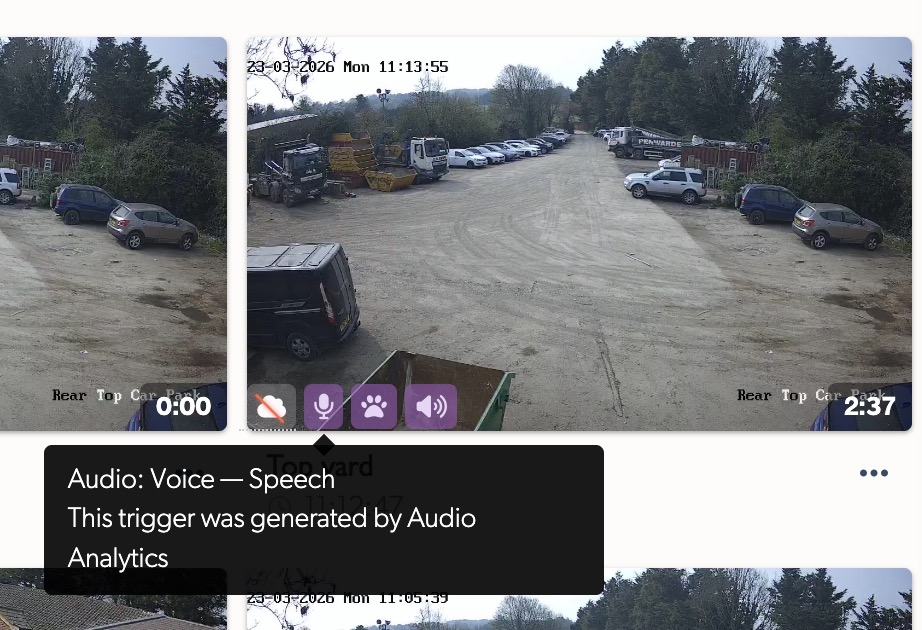 Audio Analytics