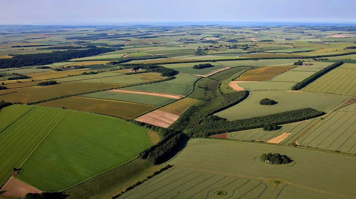 Fields across a rural site